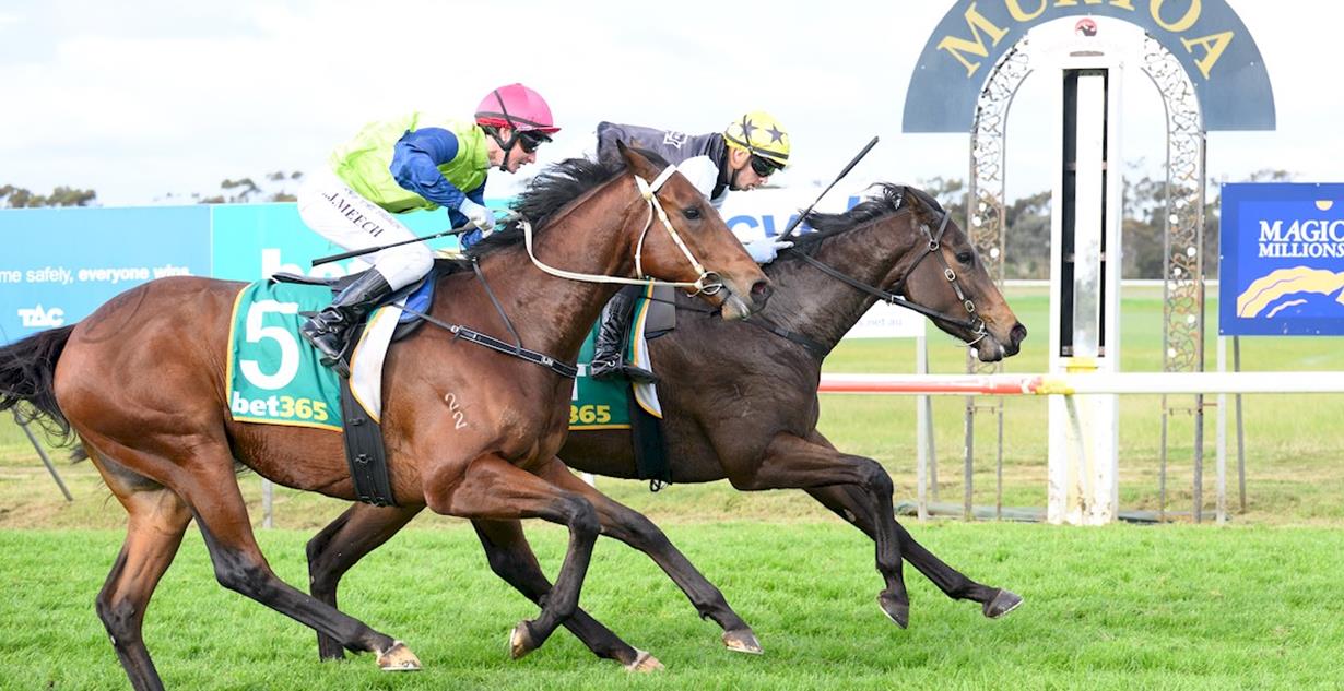 Celestial Zara - Murtoa 25th July 2026